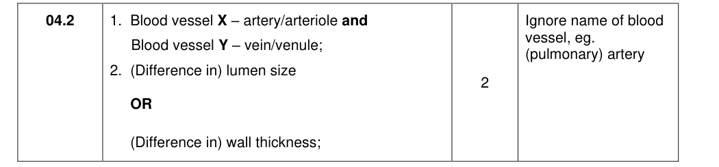 Mark scheme for 2021 A-Level Paper 1 Q4.2 (2 marks)