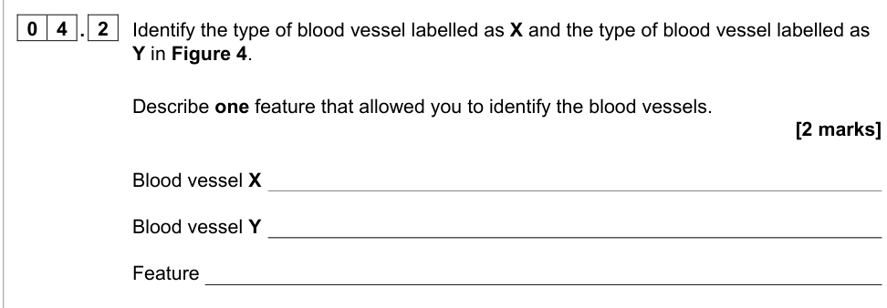 Question from 2021 A-Level Paper 1 Q4.2 (2 marks)