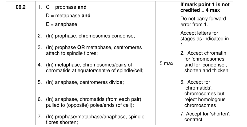 Mark scheme for 2021 A-Level Paper 1 Q6.2 (5 marks)