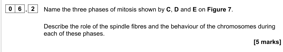 Question from 2021 A-Level Paper 1 Q6.2 (5 marks)