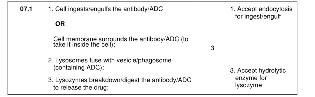 Mark scheme for 2021 A-Level Paper 1 Q7.1 (3 marks)