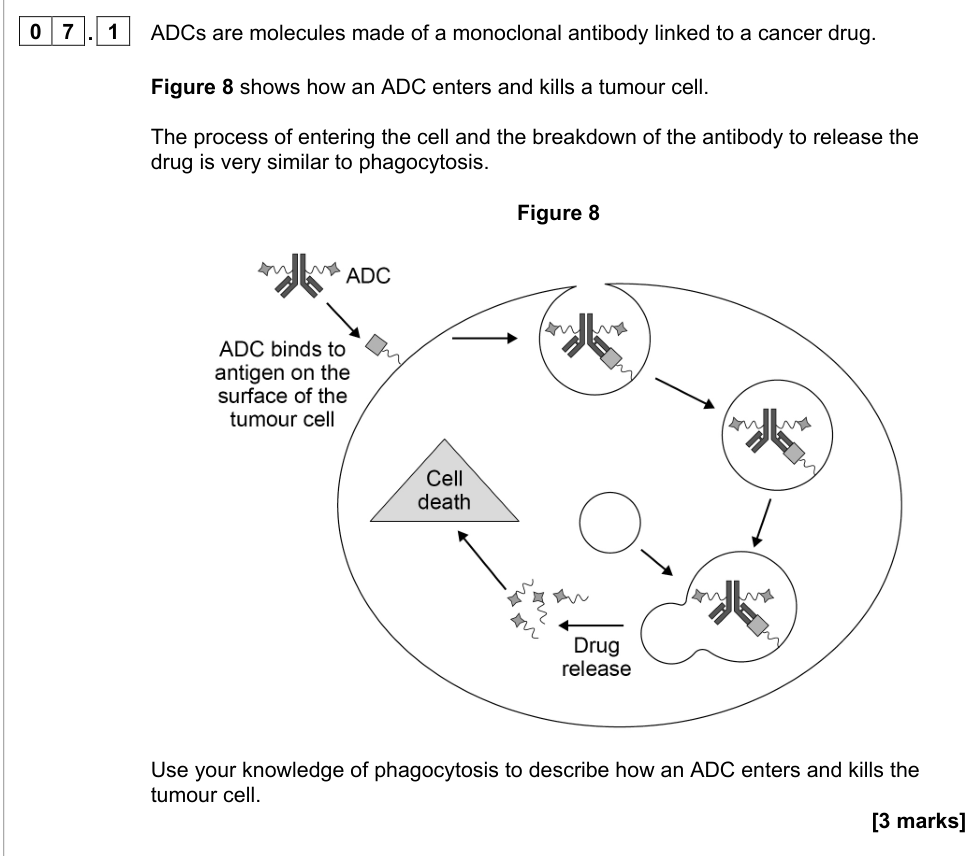 Question from 2021 A-Level Paper 1 Q7.1 (3 marks)