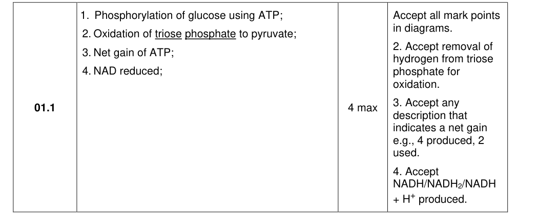 Mark scheme for 2021 A-Level Paper 2 Q1.1 (4 marks)