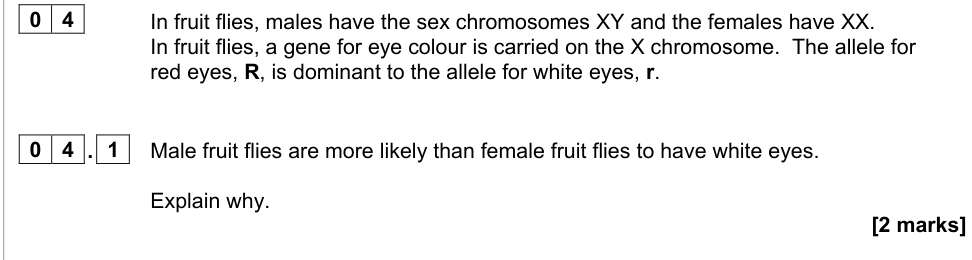 Question from 2021 A-Level Paper 2 Q4.1 (2 marks)
