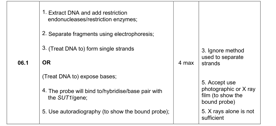 Mark scheme for 2021 A-Level Paper 3 Q6.1 (4 marks)