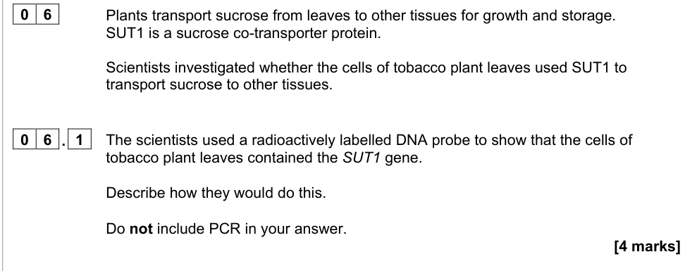 Question from 2021 A-Level Paper 3 Q6.1 (4 marks)