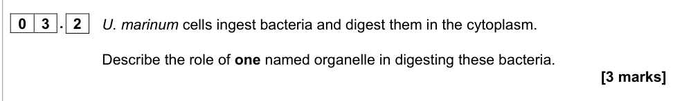 Question from 2021 As Paper 1 Q3.2 (3 marks)