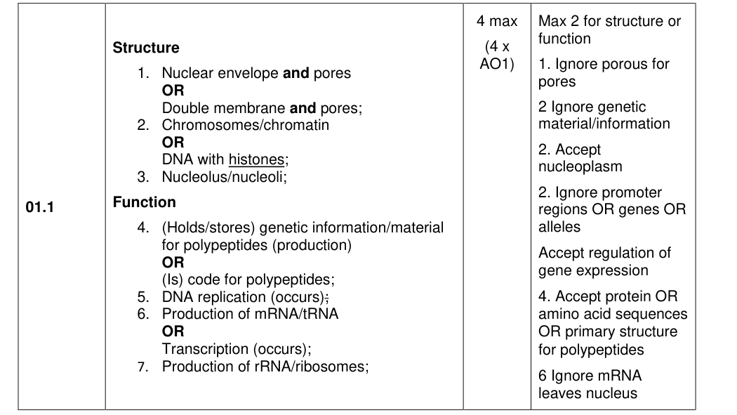 Mark scheme for 2022 A-Level Paper 1 Q1.1 (4 marks)