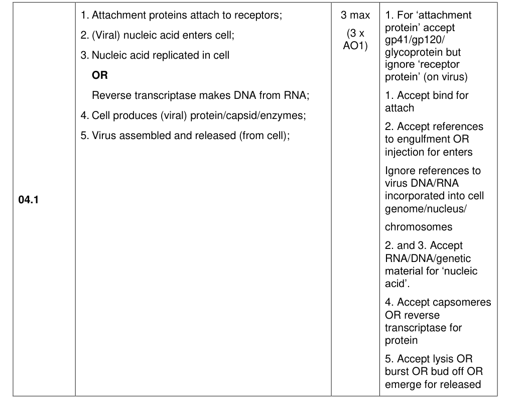 Mark scheme for 2022 A-Level Paper 1 Q4.1 (3 marks)