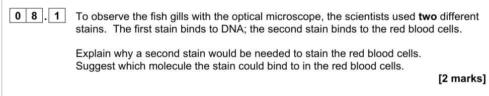 Question from 2022 A-Level Paper 1 Q8.1 (2 marks)