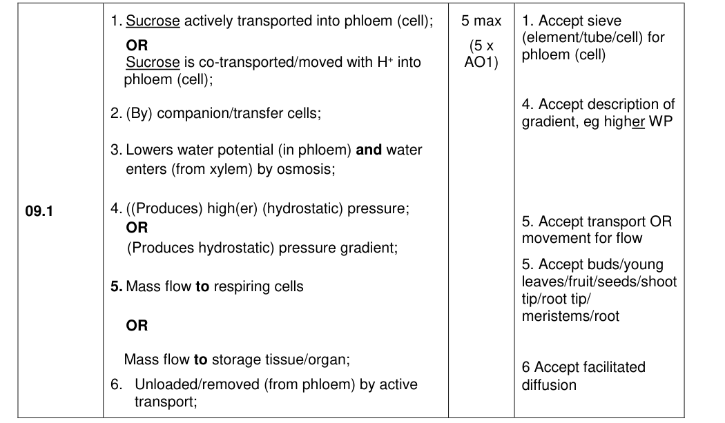 Mark scheme for 2022 A-Level Paper 1 Q9.1 (5 marks)