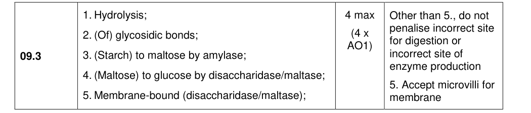 Mark scheme for 2022 A-Level Paper 1 Q9.3 (4 marks)
