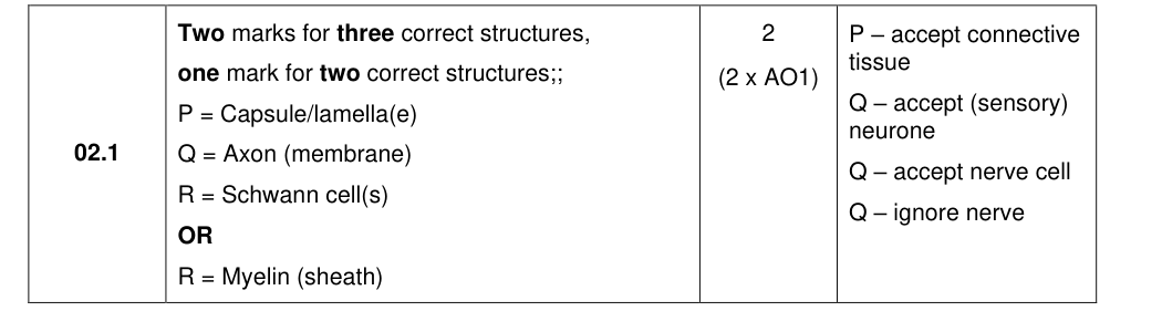 Mark scheme for 2022 A-Level Paper 3 Q2.1 (2 marks)