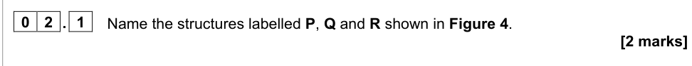 Question from 2022 A-Level Paper 3 Q2.1 (2 marks)