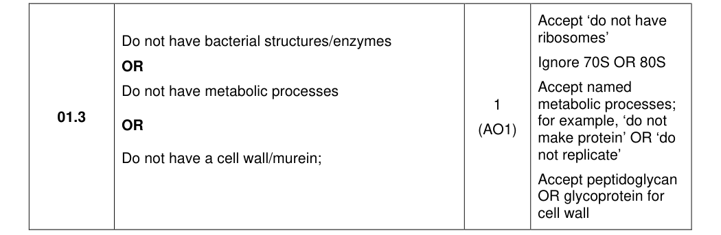 Mark scheme for 2023 A-Level Paper 1 Q1.3 (1 marks)