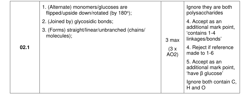 Mark scheme for 2023 A-Level Paper 1 Q2.1 (3 marks)