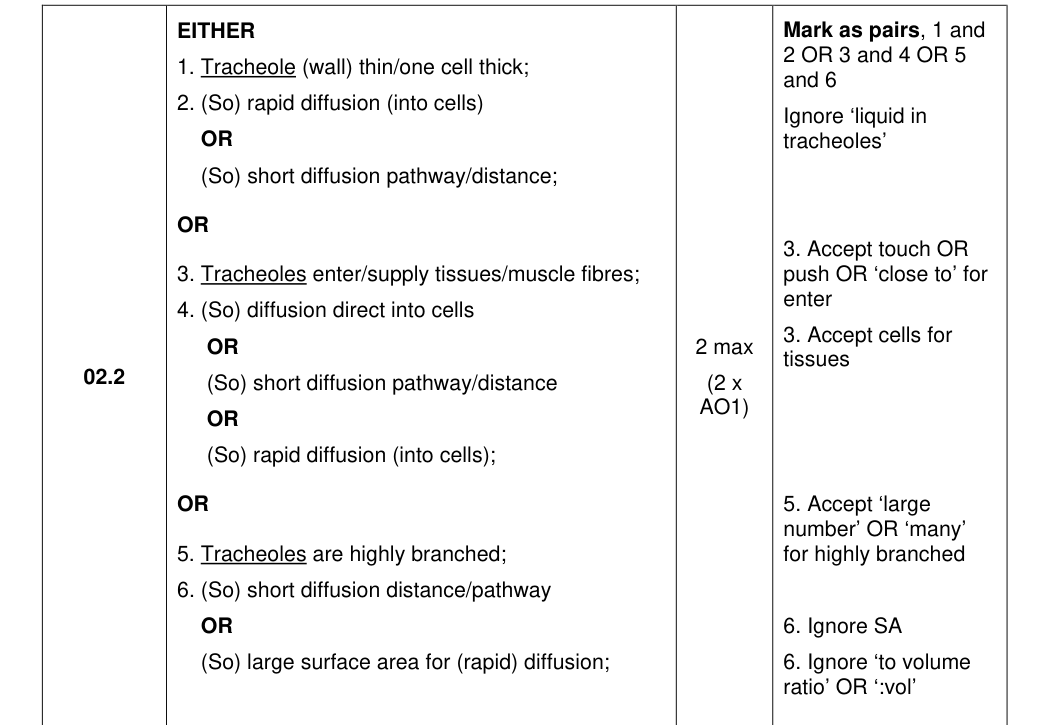 Mark scheme for 2023 A-Level Paper 1 Q2.2 (2 marks)