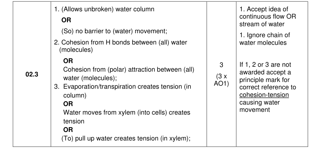 Mark scheme for 2023 A-Level Paper 1 Q2.3 (3 marks)