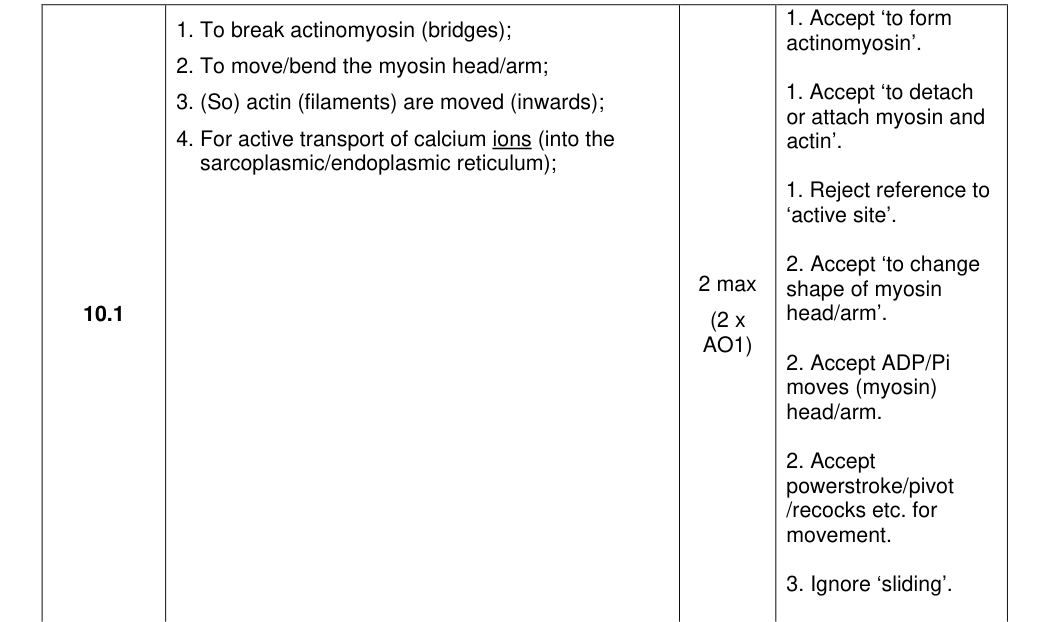 Mark scheme for 2023 A-Level Paper 2 Q10.1 (2 marks)