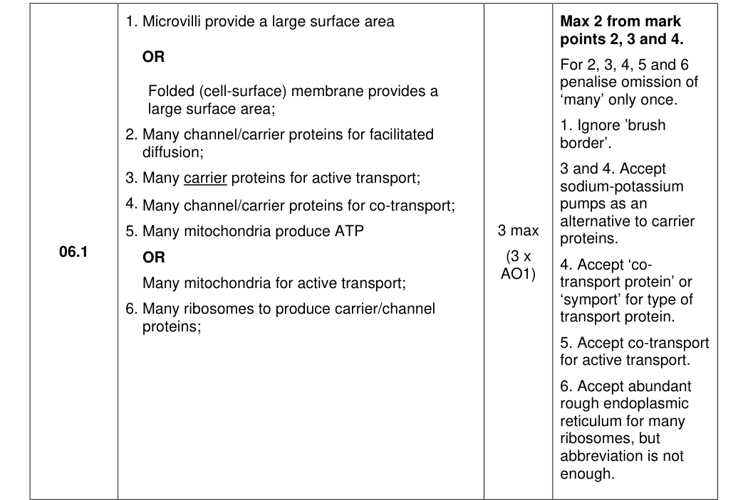 Mark scheme for 2023 A-Level Paper 2 Q6.1 (3 marks)