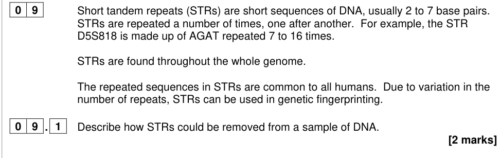 Question from 2023 A-Level Paper 2 Q9.1 (2 marks)
