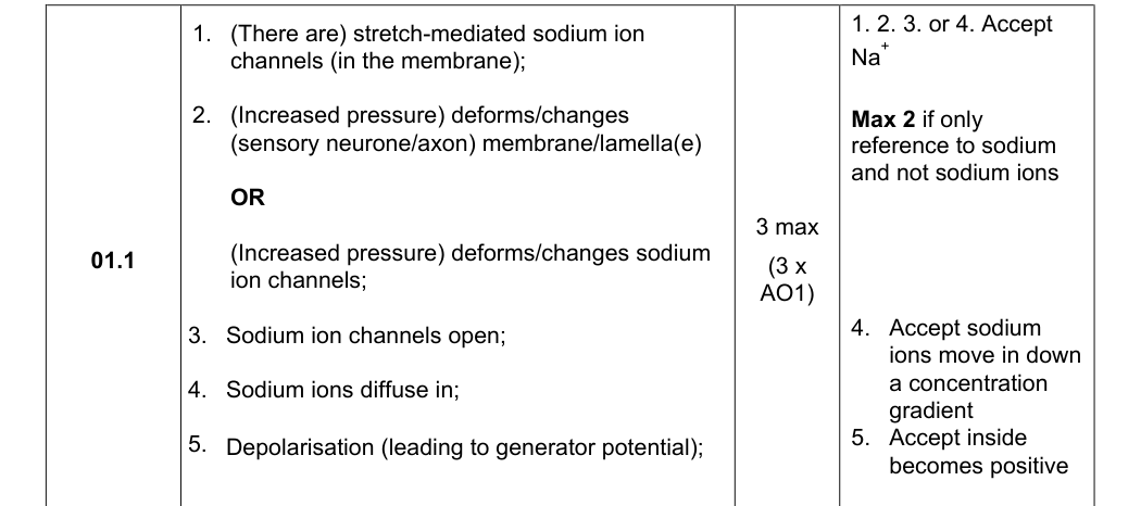 Mark scheme for 2023 A-Level Paper 3 Q1.1 (3 marks)