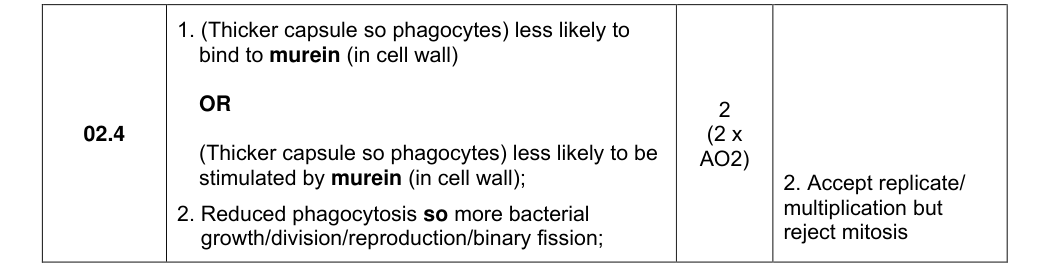 Mark scheme for 2023 As Paper 1 Q2.4 (2 marks)