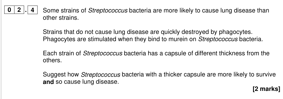 Question from 2023 As Paper 1 Q2.4 (2 marks)