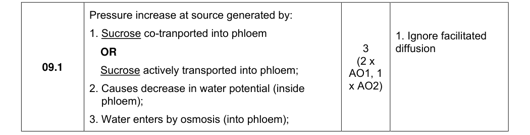 Mark scheme for 2023 As Paper 1 Q9.1 (3 marks)