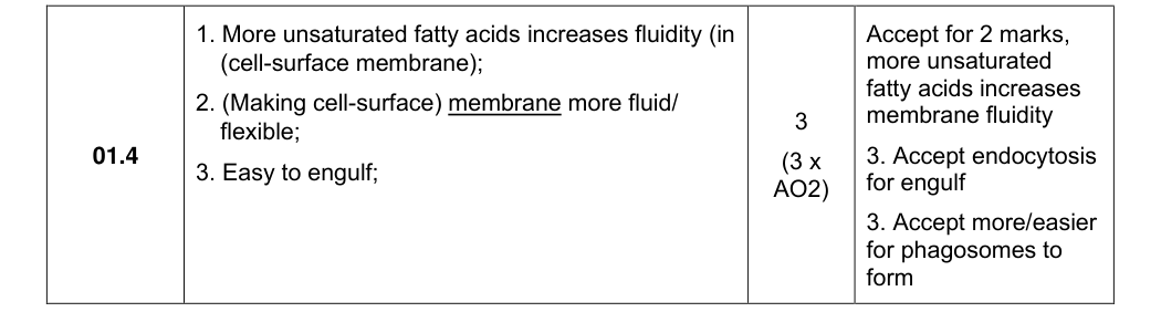 Mark scheme for 2024 A-Level Paper 1 Q1.4 (3 marks)