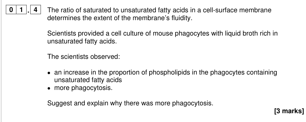 Question from 2024 A-Level Paper 1 Q1.4 (3 marks)