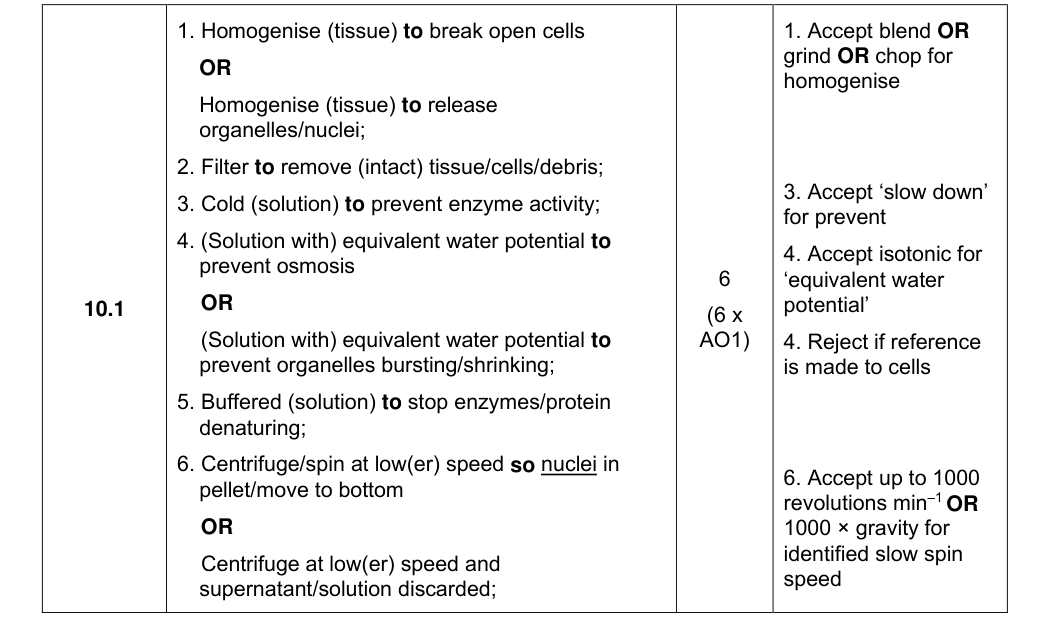 Mark scheme for 2024 A-Level Paper 1 Q10.1 (6 marks)