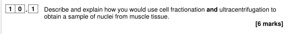 Question from 2024 A-Level Paper 1 Q10.1 (6 marks)