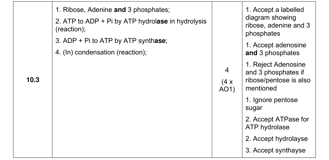 Mark scheme for 2024 A-Level Paper 1 Q10.3 (4 marks)