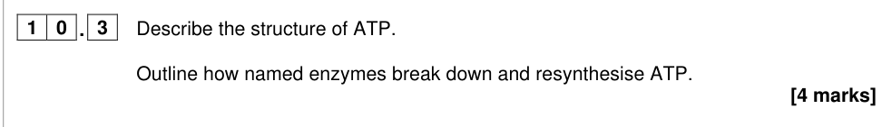 Question from 2024 A-Level Paper 1 Q10.3 (4 marks)