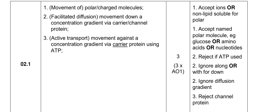Mark scheme for 2024 A-Level Paper 1 Q2.1 (3 marks)