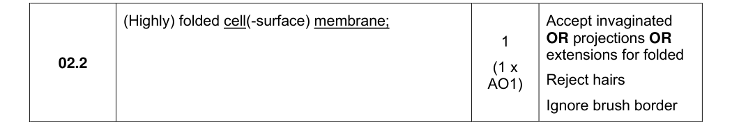 Mark scheme for 2024 A-Level Paper 1 Q2.2 (1 marks)