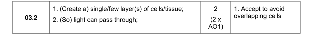 Mark scheme for 2024 A-Level Paper 1 Q3.2 (2 marks)