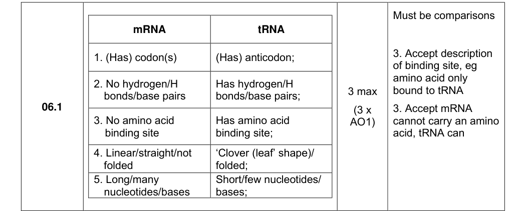 Mark scheme for 2024 A-Level Paper 1 Q6.1 (3 marks)
