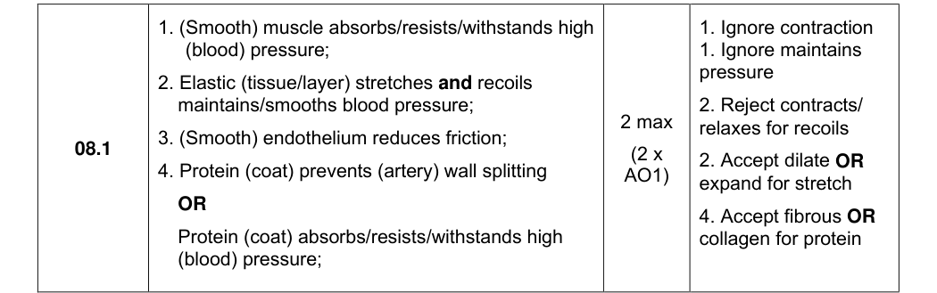 Mark scheme for 2024 A-Level Paper 1 Q8.1 (2 marks)