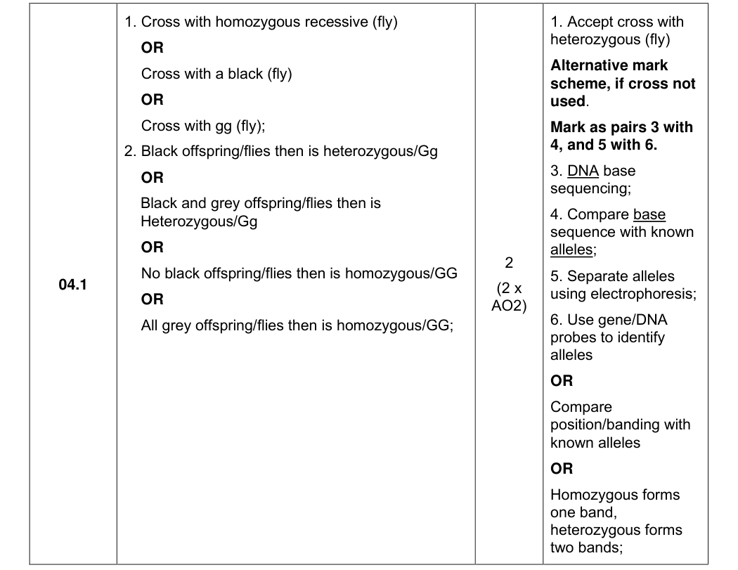 Mark scheme for 2024 A-Level Paper 2 Q04.1 (2 marks)