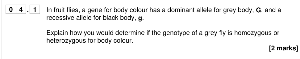 Question from 2024 A-Level Paper 2 Q04.1 (2 marks)