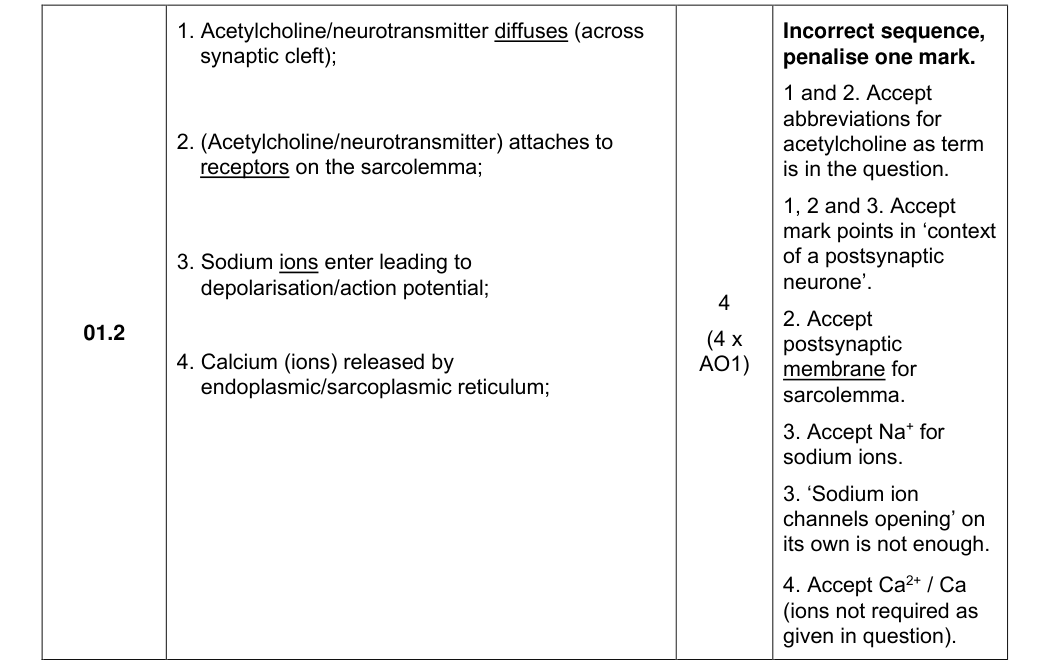 Mark scheme for 2024 A-Level Paper 2 Q1.2 (4 marks)
