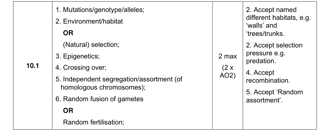 Mark scheme for 2024 A-Level Paper 2 Q10.1 (2 marks)