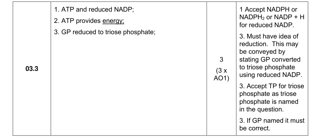 Mark scheme for 2024 A-Level Paper 2 Q3.3 (3 marks)