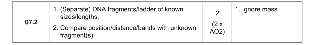 Mark scheme for 2024 A-Level Paper 2 Q7.2 (2 marks)