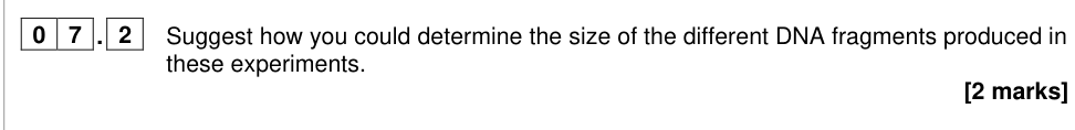 Question from 2024 A-Level Paper 2 Q7.2 (2 marks)
