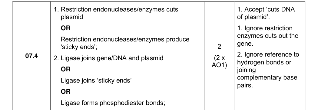Mark scheme for 2024 A-Level Paper 2 Q7.4 (2 marks)