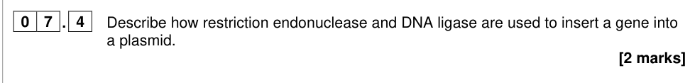 Question from 2024 A-Level Paper 2 Q7.4 (2 marks)
