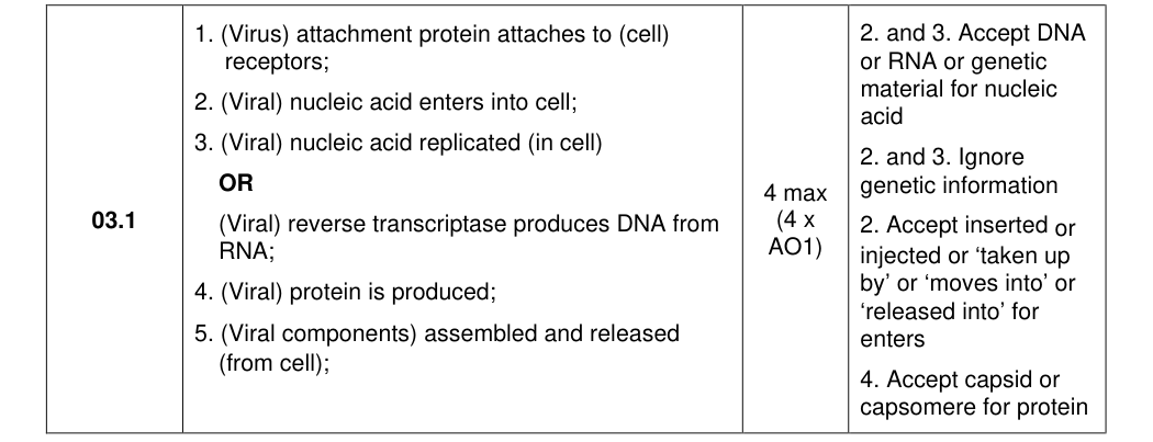 Mark scheme for 2024 As Paper 1 Q3.1 (4 marks)